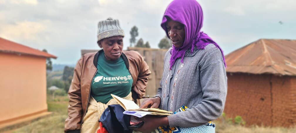 Six Steps to Change Farming Forever: How USSD Puts Power in Farmers’ Hands