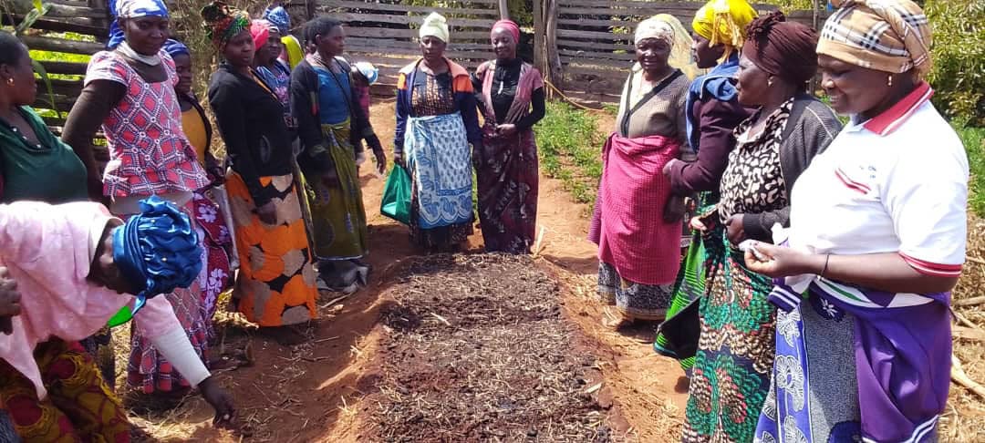 Herveg05 - Happy woman farmer