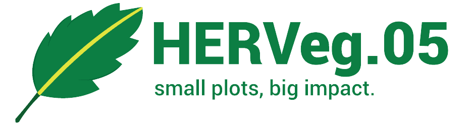 Historical association of Tanzania Logo