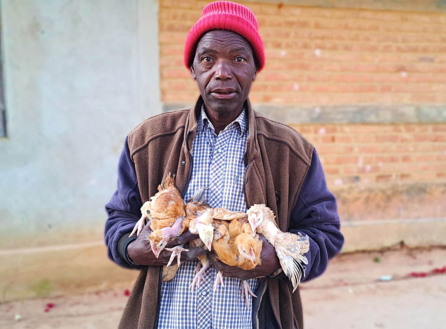 Juma’s Breakthrough   From Debt and Despair to Stability and Pride